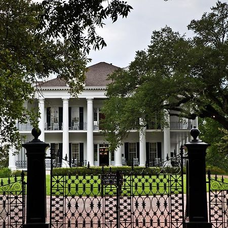 Dunleith Historic Inn Natchez Eksteriør billede