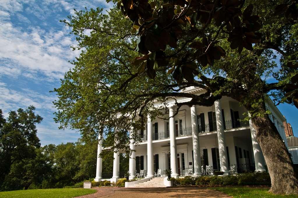 Dunleith Historic Inn Natchez Eksteriør billede