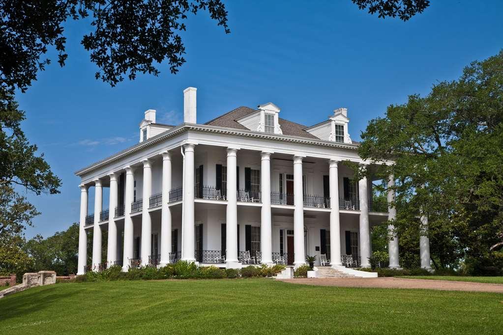 Dunleith Historic Inn Natchez Eksteriør billede