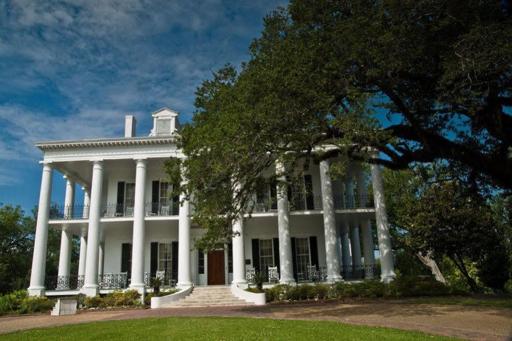 Dunleith Historic Inn Natchez Eksteriør billede