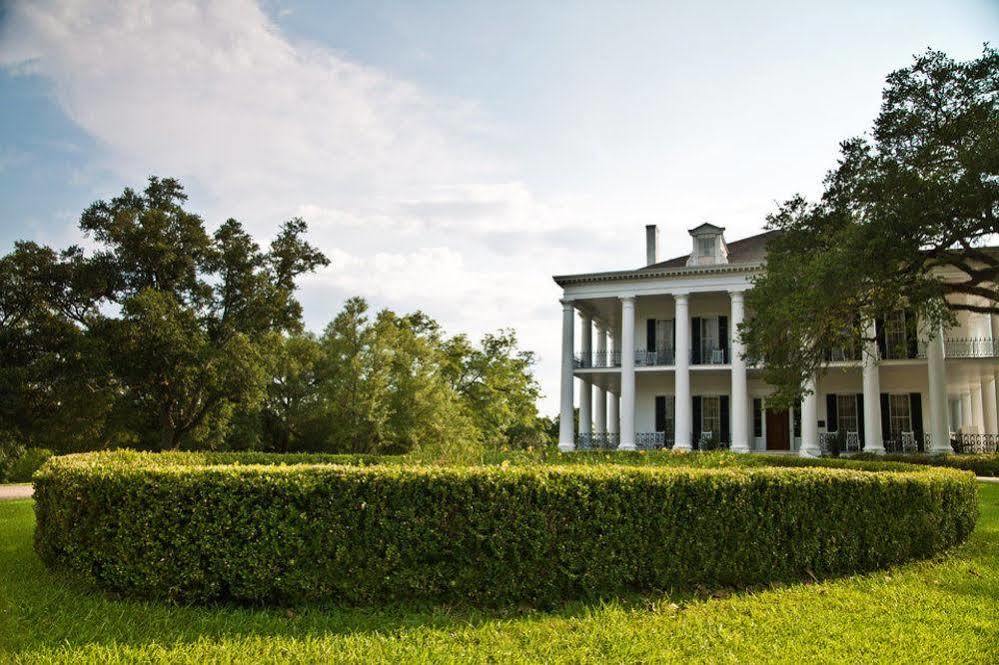 Dunleith Historic Inn Natchez Eksteriør billede